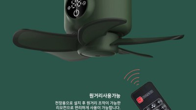 ✨우리집 천장을 빛낼 고급 실링팬, 후회없는 선택하세요!✨