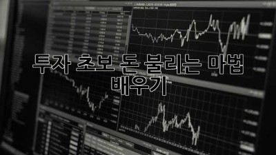 투자 초보, 돈 불리는 마법 배우기 ✨