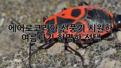 에어로코리아 선풍기: 시원한 여름나기, 현명한 선택